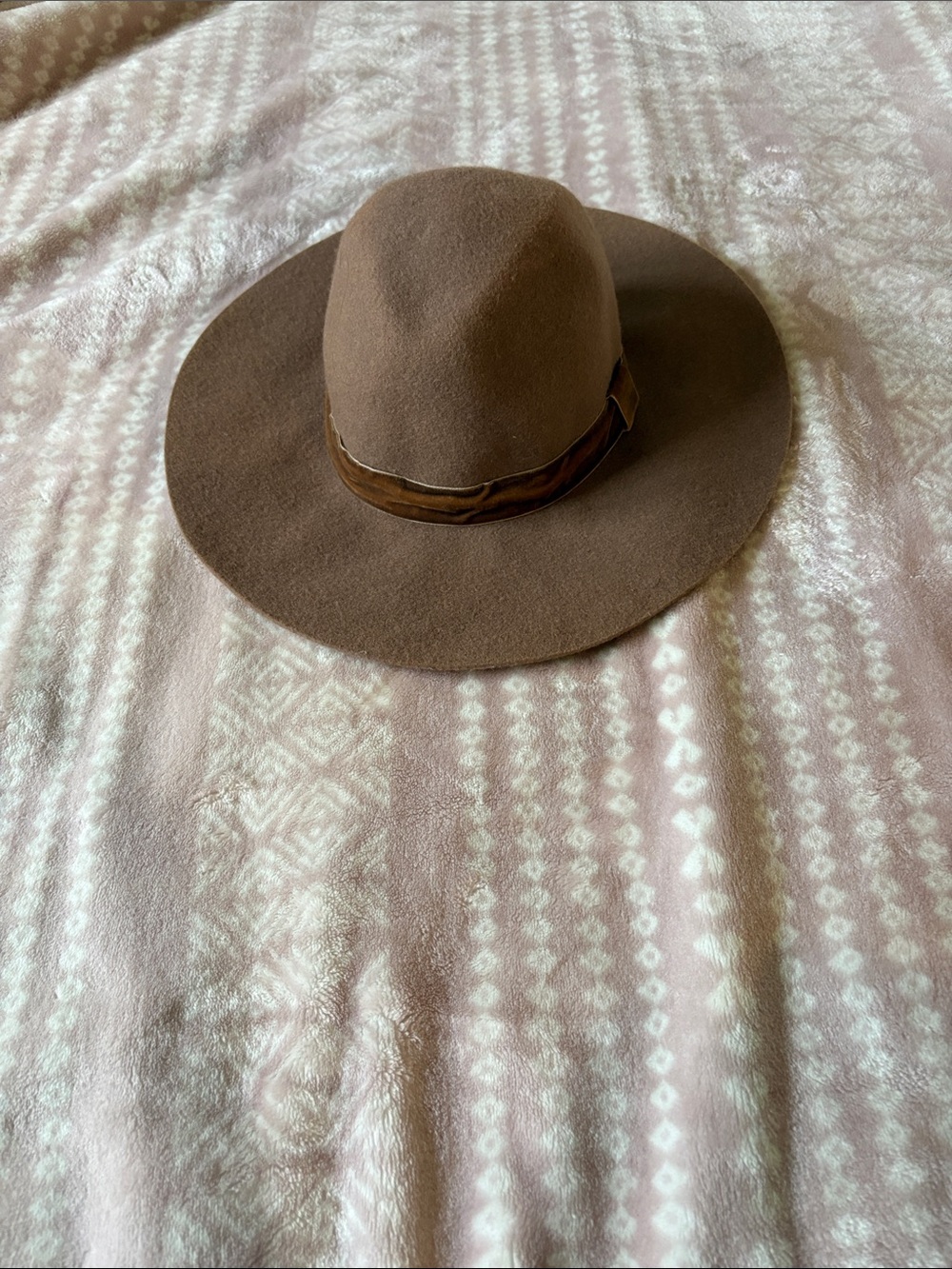 LOFT Brown Felt Wide-Brim Fedora with Trim